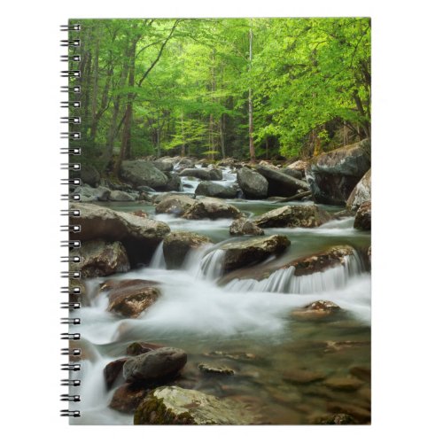 Little Pigeon River at Greenbrier Notebook