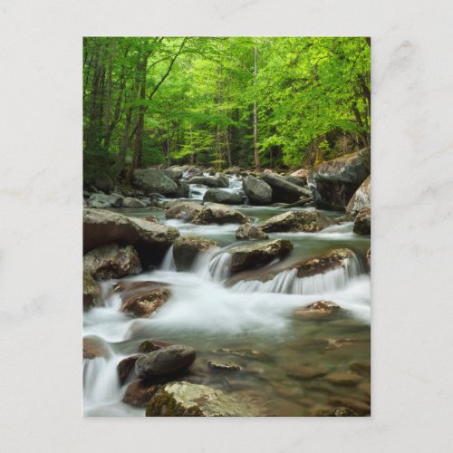 Little Pigeon River at Greenbrier Postcard