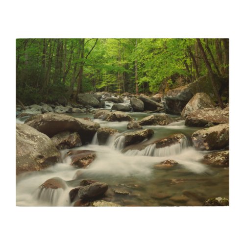 Little Pigeon River at Greenbrier Wood Wall Art