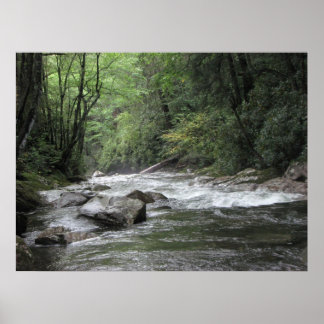 Little Pigeon River Poster