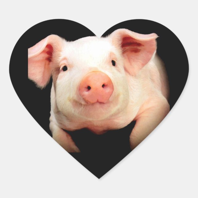 Little Piggy Heart Sticker (Front)