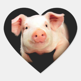Little Piggy Heart Sticker