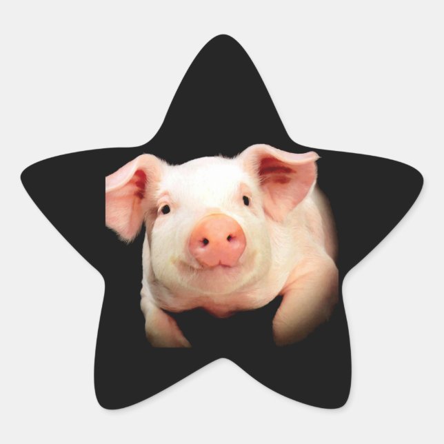 Little Piggy Star Sticker (Front)