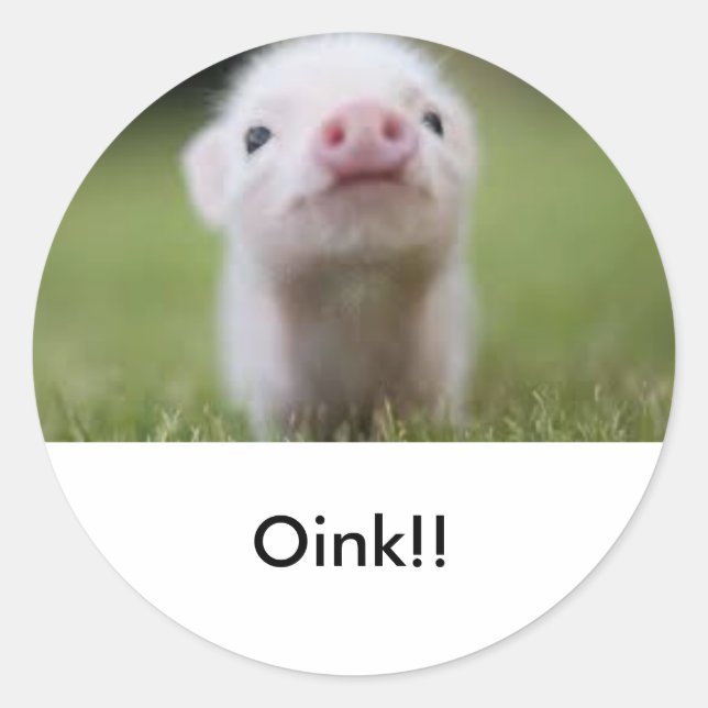 Little piggy sticker (Front)