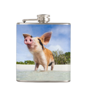 Little piglet flask