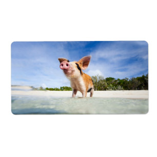 Little piglet label