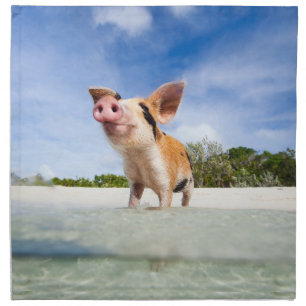 Little piglet napkin