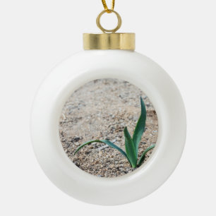 Little Plant Ceramic Ball Christmas Ornament