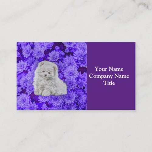 Little Pomeranian Puppy Business Card