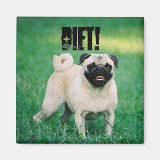 LITTLE PUG REMINDS YOU YOU'RE ON A DIET! MAGNET