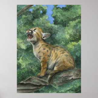 Little Puma Poster