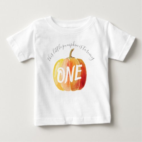 Little Pumpkin 1st Birthday Baby T_Shirt
