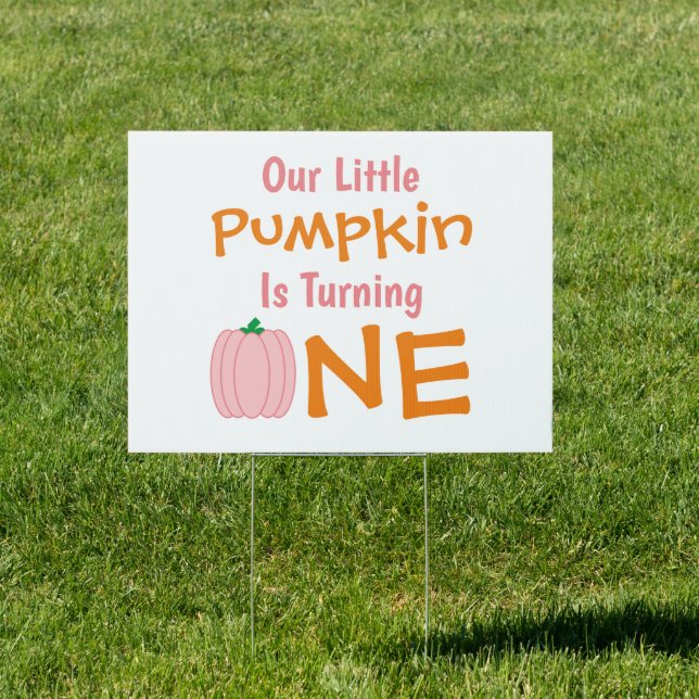 Little Pumpkin 1st Birthday Sign (Insitu)