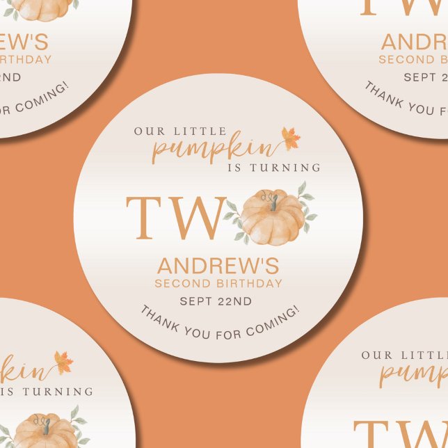 Little Pumpkin Autumn Fall 2nd Second Birthday Classic Round Sticker (Creator Uploaded)