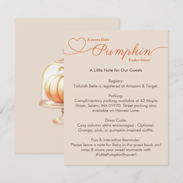 Little Pumpkin Baby Shower – Autumn Chic Enclosure Card (Front/Back)