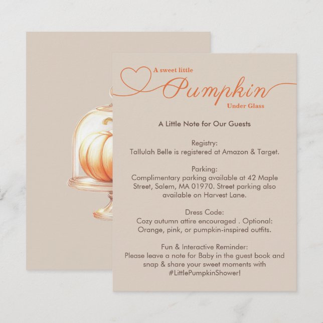 Little Pumpkin Baby Shower – Autumn Chic Enclosure Card (Front/Back)