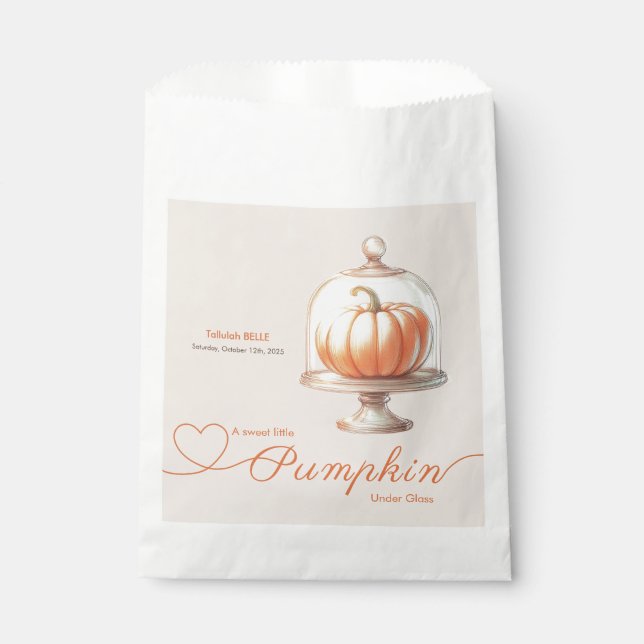 Little Pumpkin Baby Shower – Autumn Chic Favor Bag (Front)