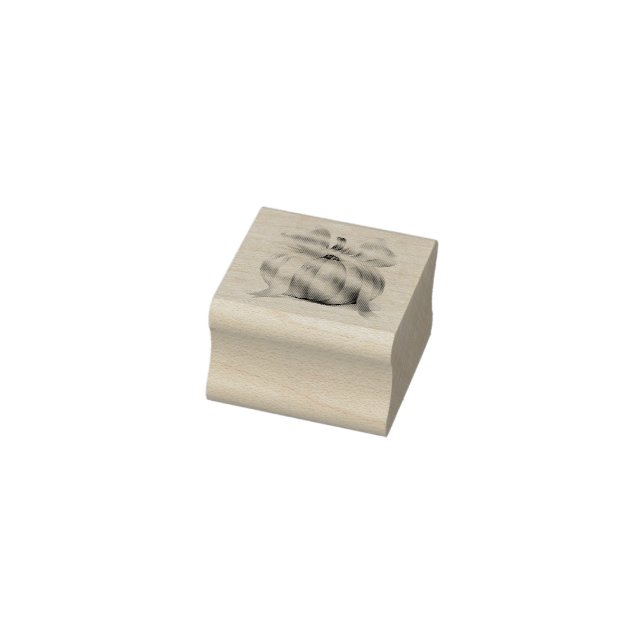 Little Pumpkin Baby Shower Ribbon – Romantic Salem Rubber Stamp (Stamp)