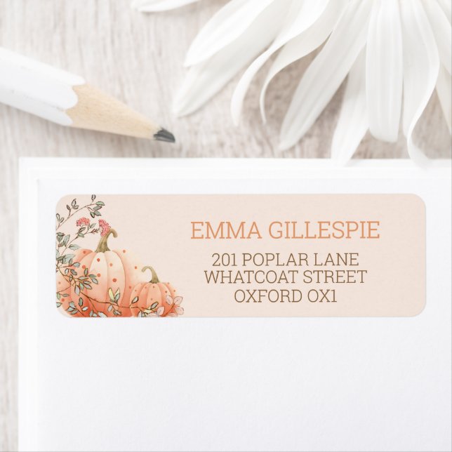 Little Pumpkin Fall Autumn Baby Shower Address Label (Insitu)