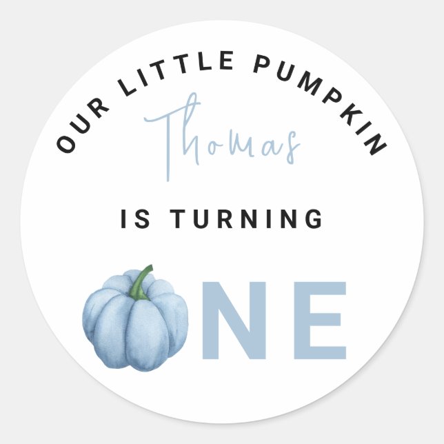 Little Pumpkin first Birthday Party  Classic Round Sticker (Front)