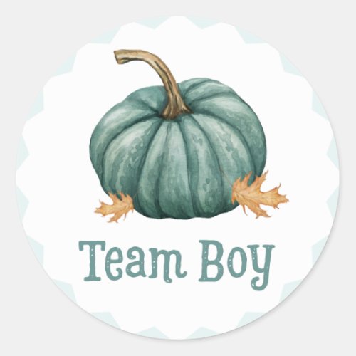 Little Pumpkin Gender Team Boy Reveal Stickers