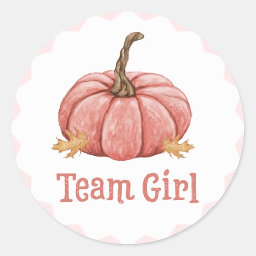 Little Pumpkin Gender Team Girl Reveal Stickers