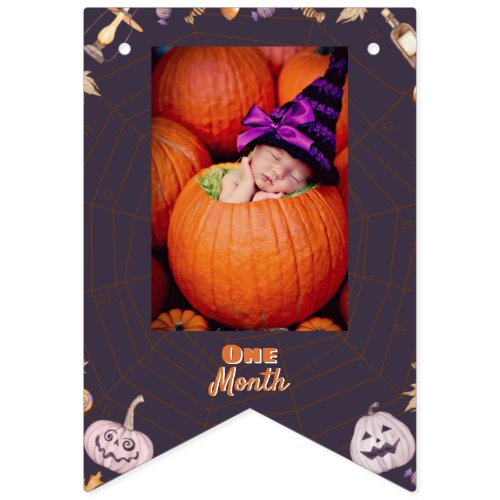 Little Pumpkin Halloween Monthly Photo Bunting Flags