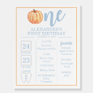 Little Pumpkin pastel blue 1ST Birthday Milestone Foam Board