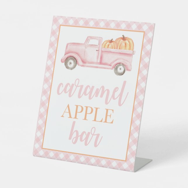Little Pumpkin Pastel Pink Fall Birthday Food Pedestal Sign (Front)