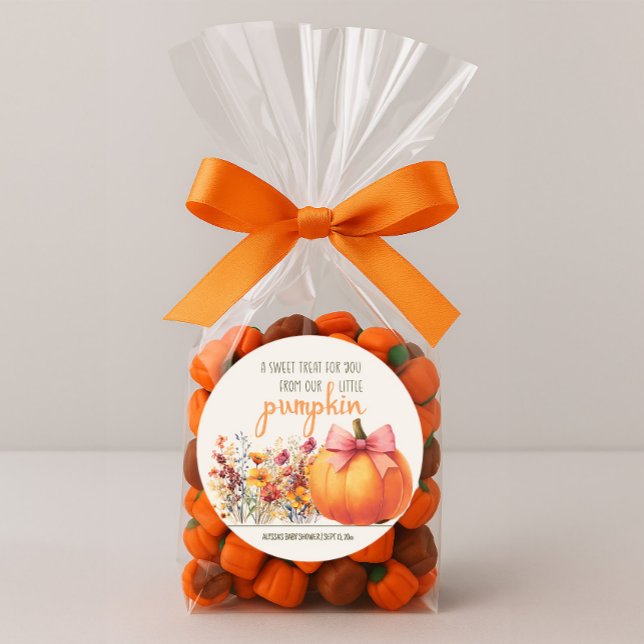 Little Pumpkin Sweet Treat Baby Shower Classic Round Sticker (Little Pumpkin baby shower Sweet Treat sticker)