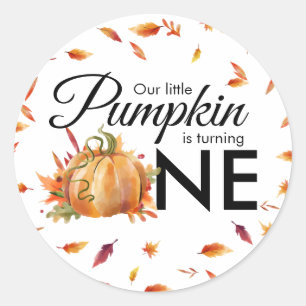 Little Pumpkin Turning One Autumn Fall Birthday Classic Round Sticker