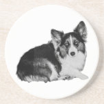Little Pup, Big Personality Coaster