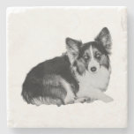 Little Pup, Big Personality Stone Coaster