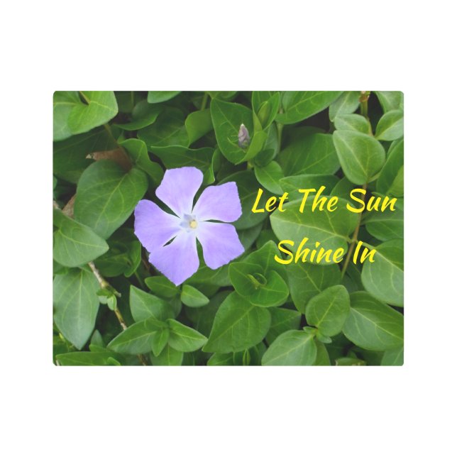 Little Purple Flower Metal Print (Front)