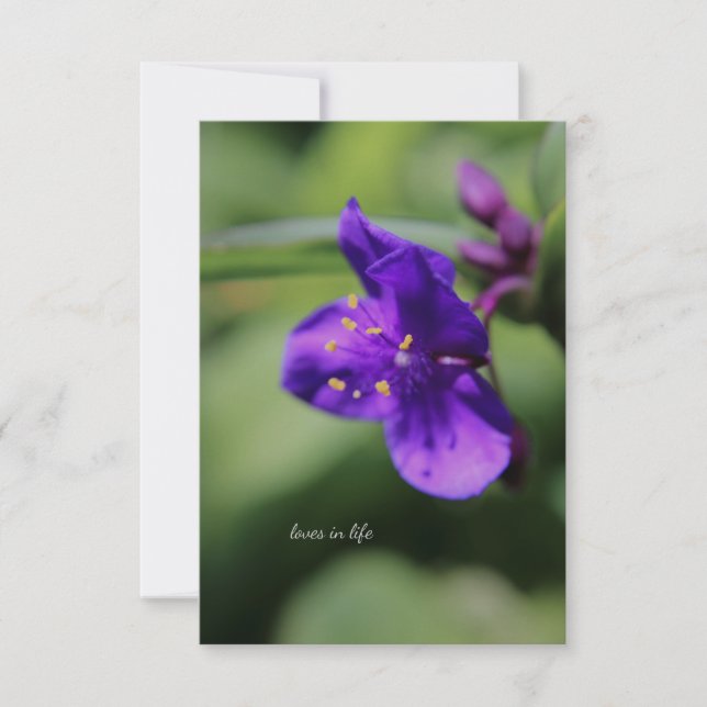 Little Purple Flower Up-close Note Card (Front)