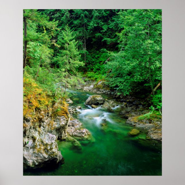 Little Qualicum River Poster (Front)