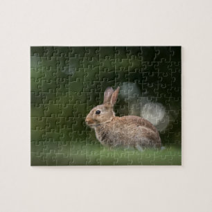 Little Rabbit Nature Photo Jigsaw Puzzle