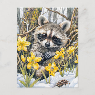 Little Raccoon Among Spring Oaks Postcard