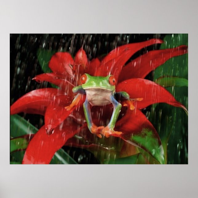 Little_Rain_(4) Poster (Front)