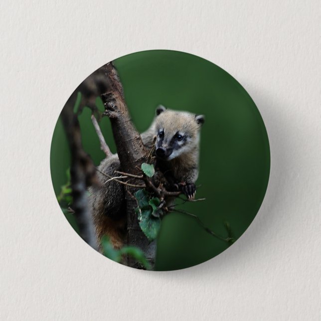 Little rascals coati - lemur button (Front)