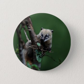 Little Rascals Coati - Lemur Button by laureenr at Zazzle