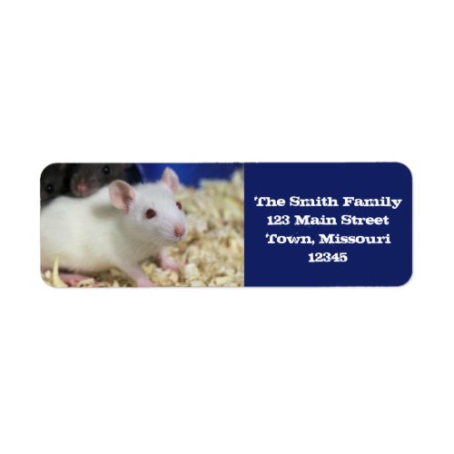 Little rat label