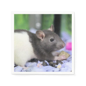 Little rat napkins