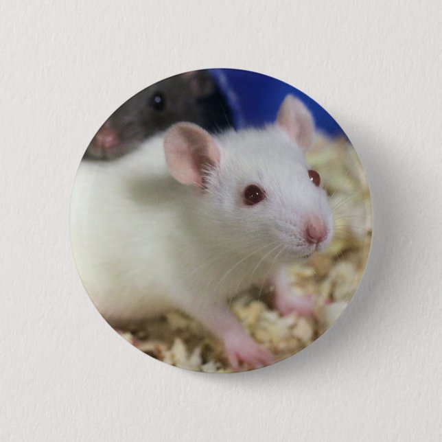 Little rat pinback button (Front)
