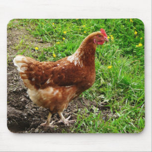 Little Red Chicken - Free Range Egg Layer Mouse Pad