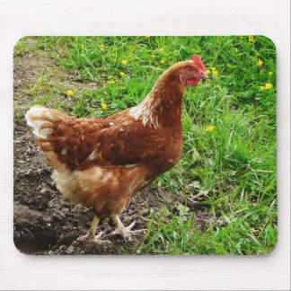Little Red Chicken  - Free Range Egg Layer Mouse Pad
