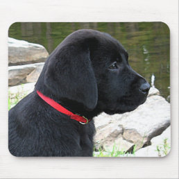 Little Red Collar - Black Lab Puppy - Labrador Mouse Pad