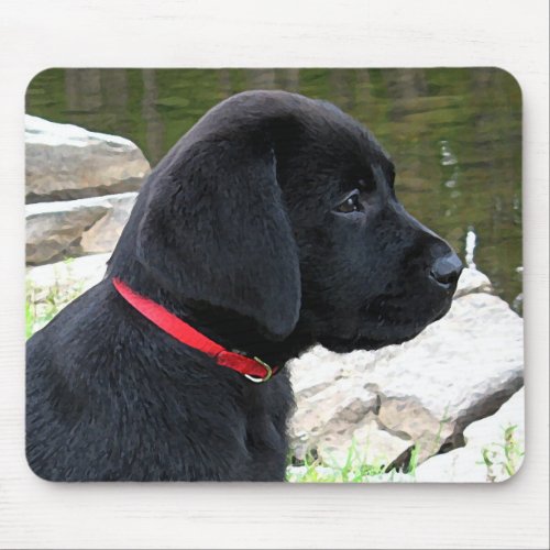 Little Red Collar _ Black Lab Puppy _ Labrador Mouse Pad