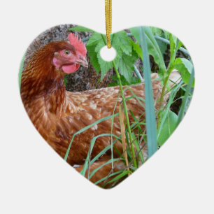 Little Red Hen in the Grass Ceramic Ornament