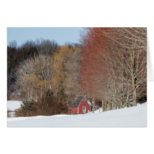 Little Red House Cards (Front Horizontal)